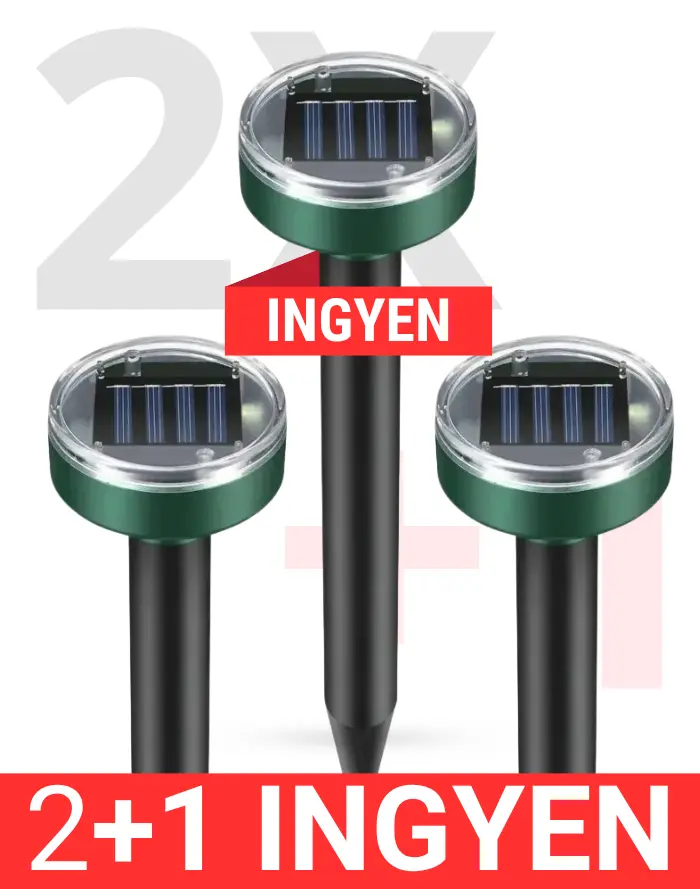 order-image