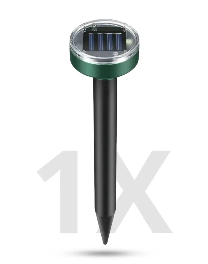 order-image